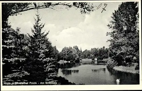 Ak Polczyn Zdrój Bad Polzin Pommern, Brodesee