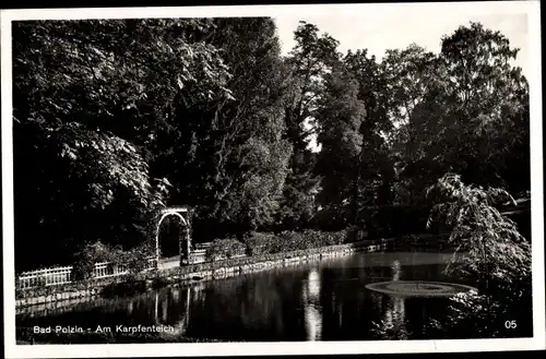 Ak Polczyn Zdrój Bad Polzin Pommern, Karpfenteich