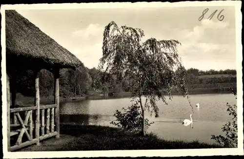 Ak Polczyn Zdrój Bad Polzin Pommern, Partie am Neuen See, Schwäne