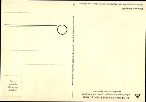 Ak Faulbaum, Bäume und Sträucher der Heimat, DJH Jugendherbergsgroschen