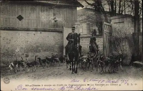 Ak Fontainebleau Seine et Marne, Chasse a courre en Foret, La Rentree au Chenil