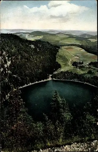 Ak Feldberg im Schwarzwald, Nenke und Ostermaier, Photochromie, Schwarzwald, Feldsee