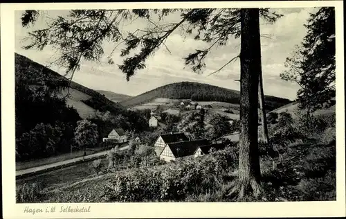 Ak Hagen in Westfalen, Blick ins Selbecketal