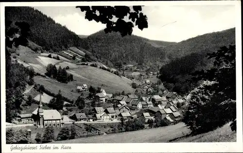 Ak Sieber Herzberg am Harz, Gesamtansicht