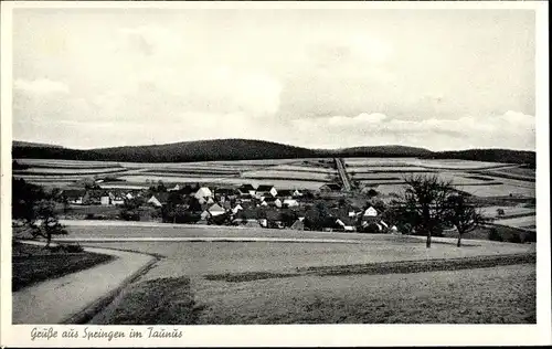 Ak Springen Heidenrod im Taunus, Gesamtansicht