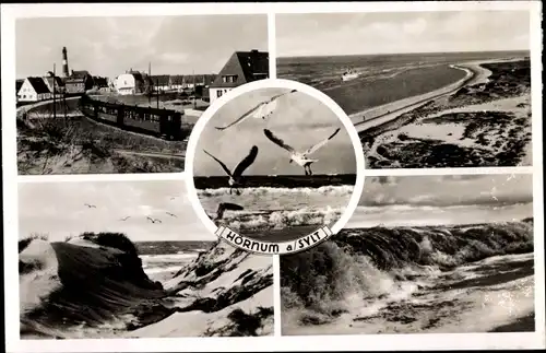 Ak Hörnum auf Sylt Nordfriesland, Strand, Dünen, Möwen, Ort, Leuchtturm