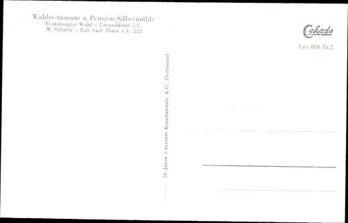 Ak Leopoldstal Horn Bad Meinberg am Teutoburger Wald, Waldrestaurant Silbermühle