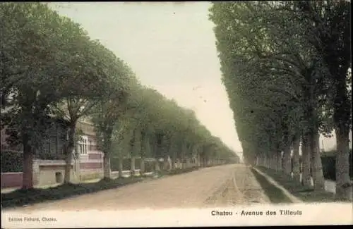 Ak Chatou Yvelines, Avenue des Tilleuls