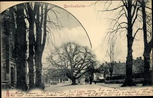 Ak Bordesholm in Holstein, Linde, Straßenpartie im Ort