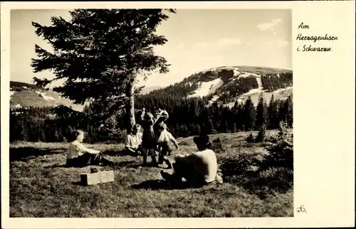 Ak Bernau im Schwarzwald, Herzogenhorn, Frühlingsreigen