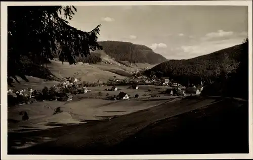 Ak Obertal Baiersbronn im Schwarzwald, Panorama