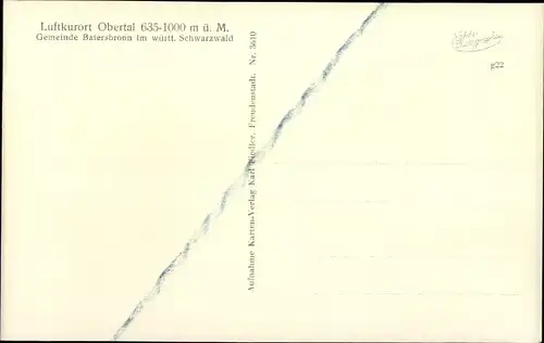 Ak Obertal Baiersbronn im Schwarzwald, Panorama