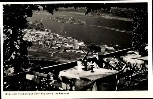 Ak Rüdesheim am Rhein, Gesamtansicht, Knusperhaus Terrasse am Niederwalddenkmal