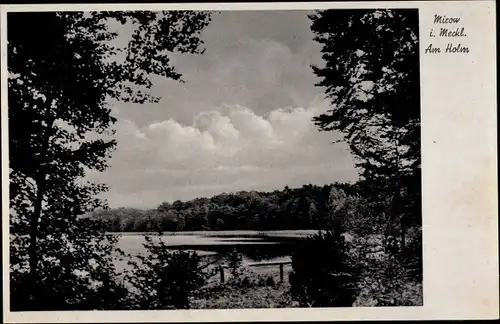 Ak Mirow Mecklenburgische Seenplatte, Am Holm