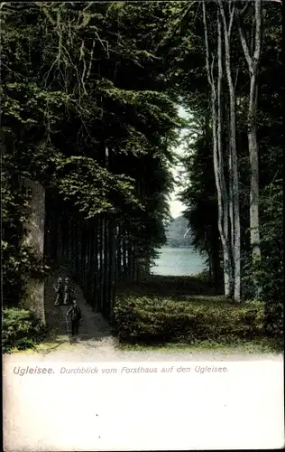 Ak Eutin in Ostholstein, Ukleisee, Uglei See, Durchblick vom Forsthaus