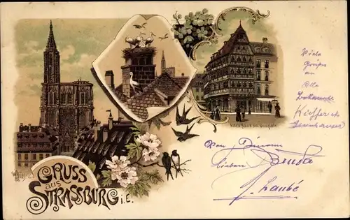 Litho Strasbourg Straßburg Elsass Bas Rhin, Münster, Störche, altes Haus am Domplatz