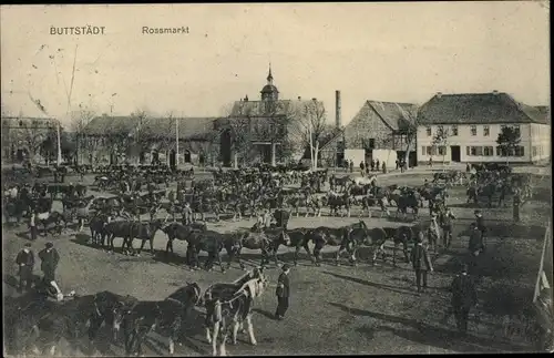 Ak Buttstädt in Thüringen, Rossmarkt, Pferde