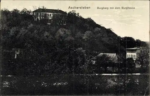 Ak Aschersleben im Salzlandkreis, Burgberg mit dem Burghause