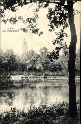 Ak Calau in Brandenburg, Springteich