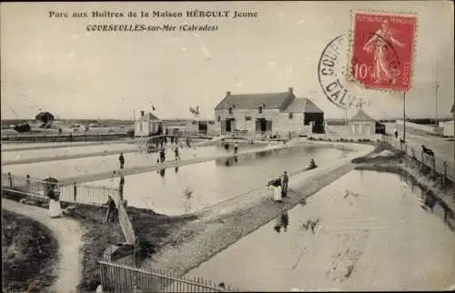 Ak Courseulles sur Mer Calvados, Parc aux Huitres de la Maison Héroult Jeune