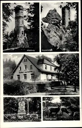 Ak Kallweiler Bad Sobernheim an der Nahe, Haus Kallweiler, Alteburg, Koppenstein, Denkmal, Hirsche