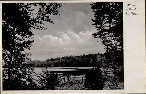 Ak Mirow Mecklenburgische Seenplatte, Am Holm
