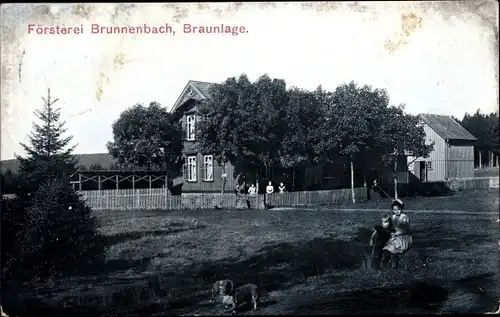 Ak Braunlage im Oberharz, Försterei Brunnenbach