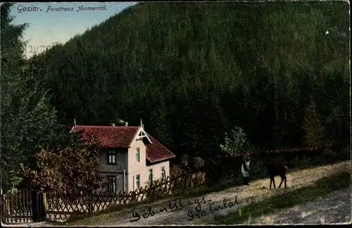 Ak Goslar am Harz, Forsthaus Ammental