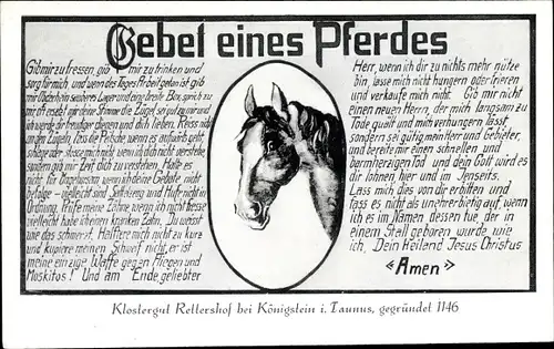 Ak Fischbach Kelkheim im Taunus, Klostergut Rettershof, Gebet eines Pferdes