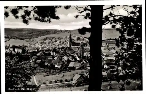 Ak Hardheim im Odenwald, Panorama