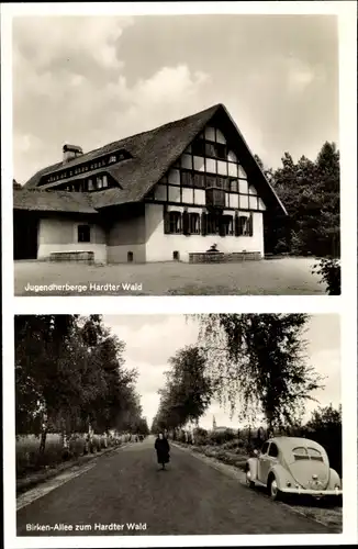 Ak Mönchengladbach am Niederrhein, Jugendherberge Hardter Wald, Birkenallee