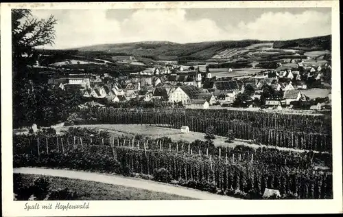 Ak Spalt Mittelfranken, Panorama mit Hopfenwald