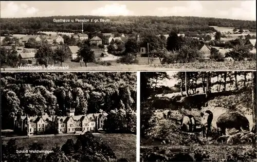 Ak Hesselbach Oberzent im Odenwald, Teilansicht, Gasthof z. gr. Baum, Wildschweine, Schloss