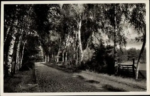 Ak Pritzwalk in der Prignitz, Hainholz Promenade