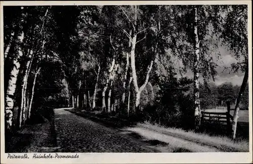 Ak Pritzwalk in der Prignitz, Hainholz Promenade