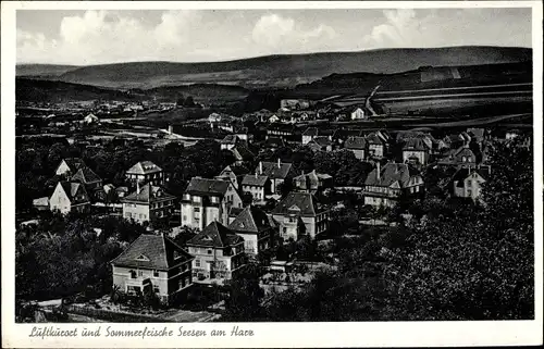 Ak Seesen am Harz, Panorama