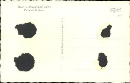 Ak Polczyn Zdrój Bad Polzin Pommern, Partie am Brodesee
