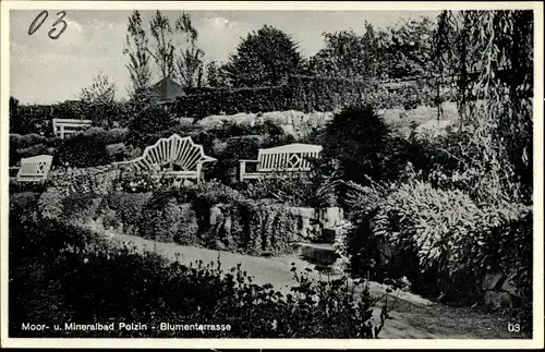 Ak Polczyn Zdrój Bad Polzin Pommern, Blumenterrasse