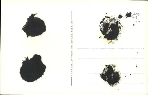 Ak Polczyn Zdrój Bad Polzin Pommern, Konzerthalle, Konzertplatz