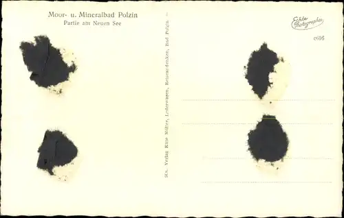 Ak Polczyn Zdrój Bad Polzin Pommern, Partie am Neuen See