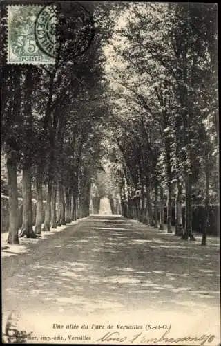 Ak Versailles Yvelines, Une allee du Parc