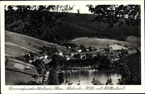 Ak Lerbach Osterode am Harz, Lerbacher Hütte m. Hüttenteich, Panorama