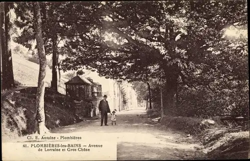 Ak Plombières les Bains Lothringen Vosges, Avenue de Lorraine et Gros Chene