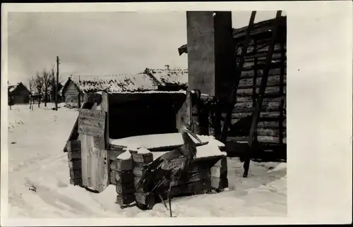 Foto Ak Storch im Schnee, Holzhütten