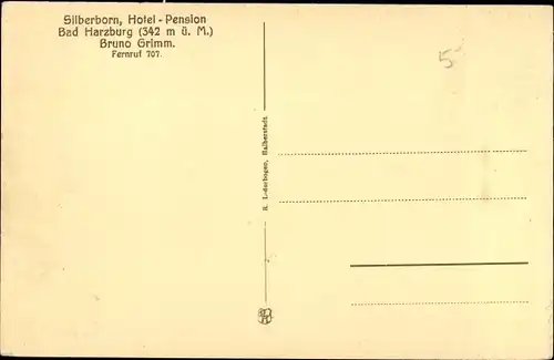 Ak Bad Harzburg am Harz, Pension Silberborn, Hirsch