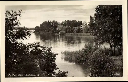 Ak Zechlinerhütte Rheinsberg Mark, Schlabornsee