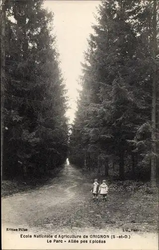 Ak Thiverval Grignon Yvelines, Ecole Nationale d'Agriculture, Le Parc, Allee pes Epiceas