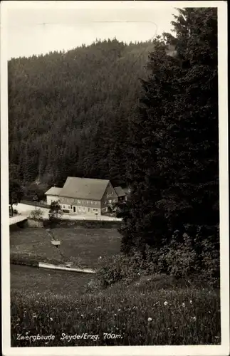 Ak Seyde Hermsdorf im Osterzgebirge, Zwergbaude, Wald