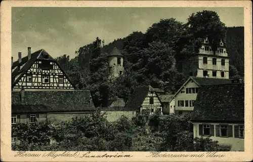 Ak Hirsau Calw in Baden Württemberg, Klosterruine mit Ulme