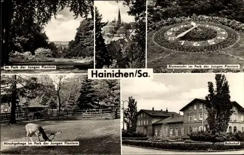 Ak Hainichen in Sachsen, Teilansicht, Blumenuhr, Bahnhof, Hirschgehege, Park
